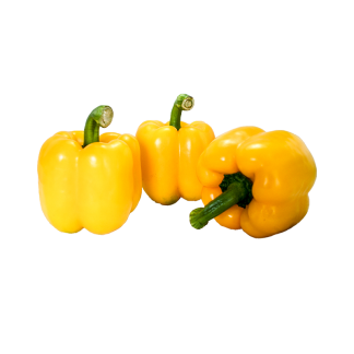 Sweet pepper yellow พริกหวานสีเหลือง